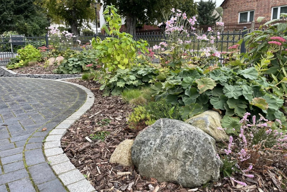 Sonstige Pflaster- (3)